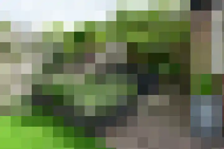 Anton Mauvelaan 16 Nederhorst den Berg thumbnail 12