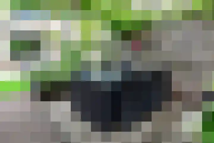 Anton Mauvelaan 16 Nederhorst den Berg thumbnail 13