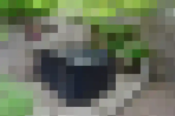 Anton Mauvelaan 16 Nederhorst den Berg thumbnail 14