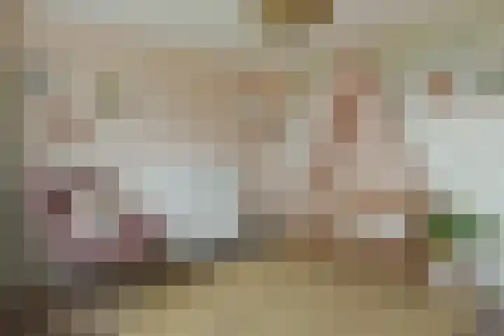 Anton Mauvelaan 16 Nederhorst den Berg thumbnail 21