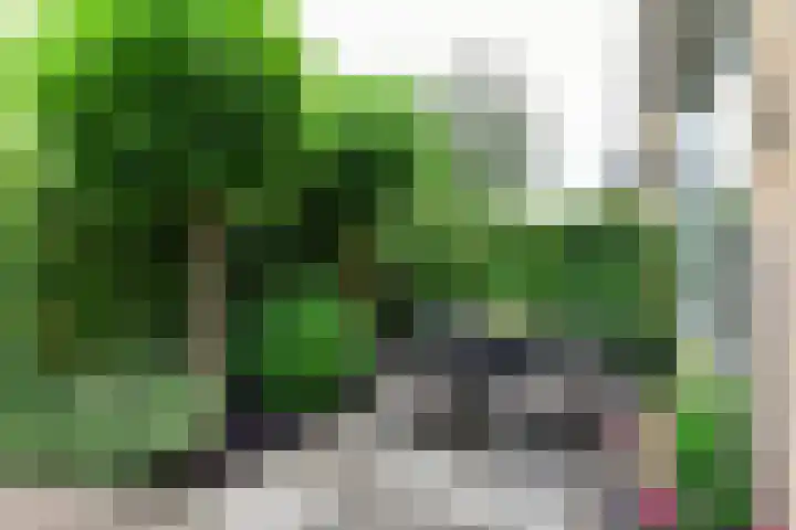 Anton Mauvelaan 16 Nederhorst den Berg thumbnail 31