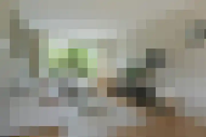 Anton Mauvelaan 16 Nederhorst den Berg thumbnail 4