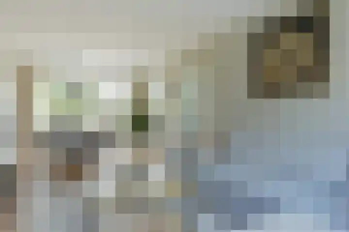 Anton Mauvelaan 16 Nederhorst den Berg thumbnail 5
