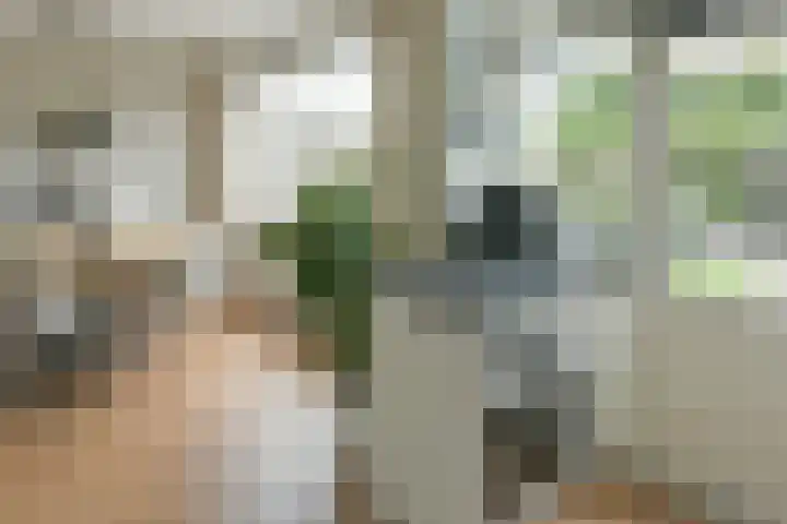 Anton Mauvelaan 16 Nederhorst den Berg thumbnail 8