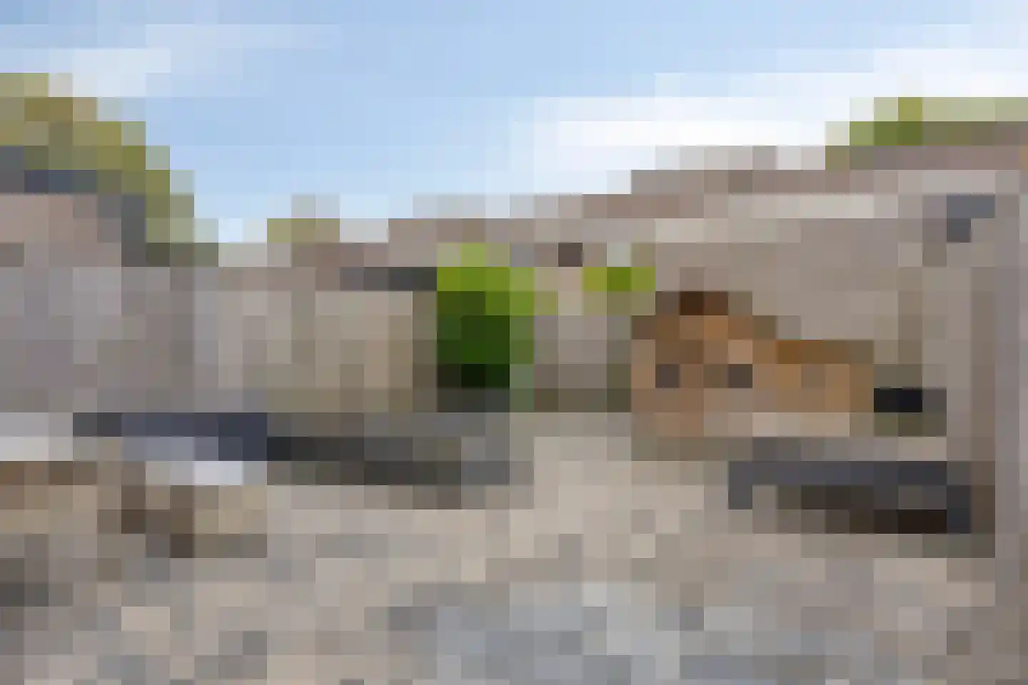 Anton Mauvelaan 32 Vlissingen thumbnail 19