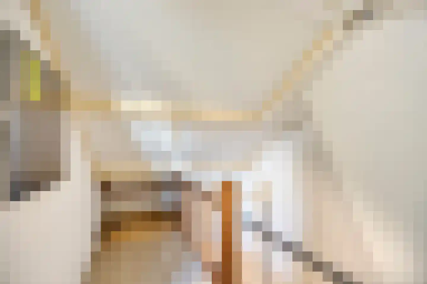 Anton Mauvestraat 10 Boxmeer thumbnail 27