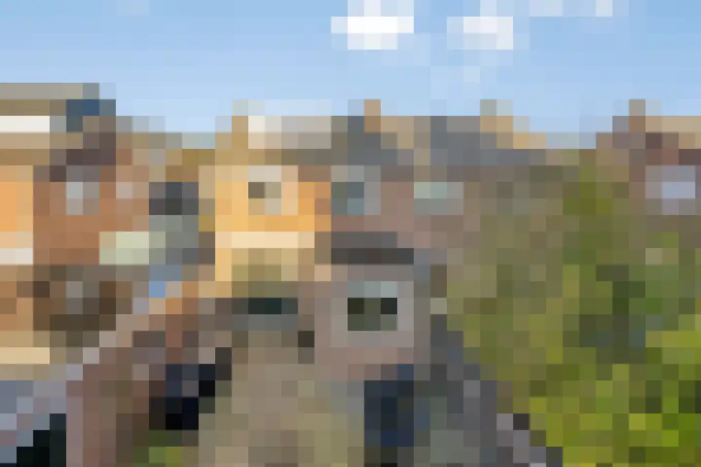 Anton Mauvestraat 10 Boxmeer thumbnail 34