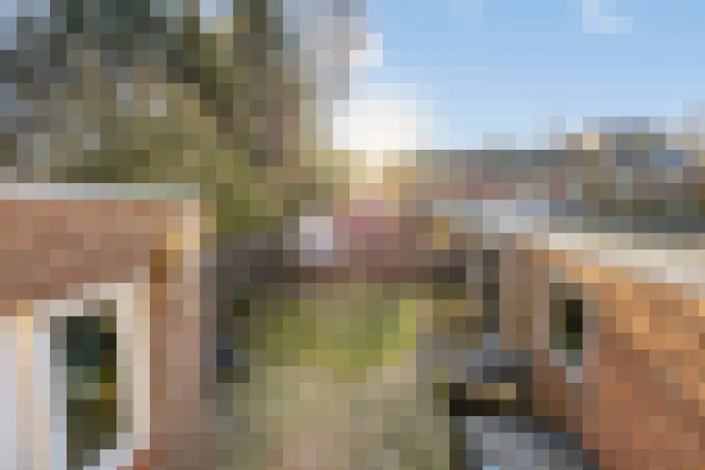 Anton Mauvestraat 10 Boxmeer thumbnail 35