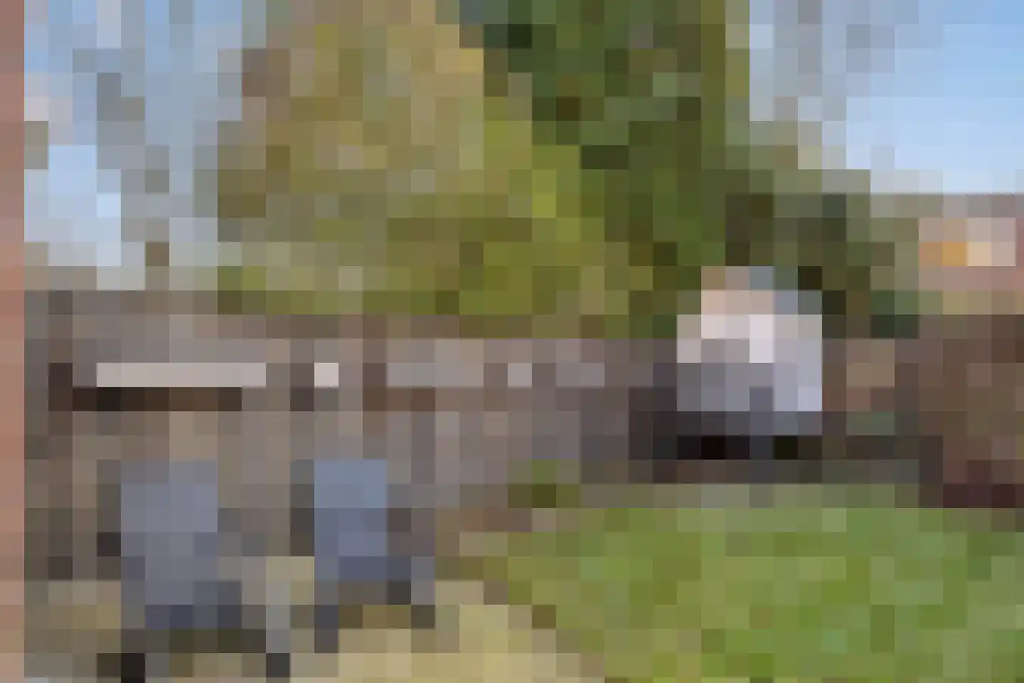 Anton Mauvestraat 10 Boxmeer thumbnail 37