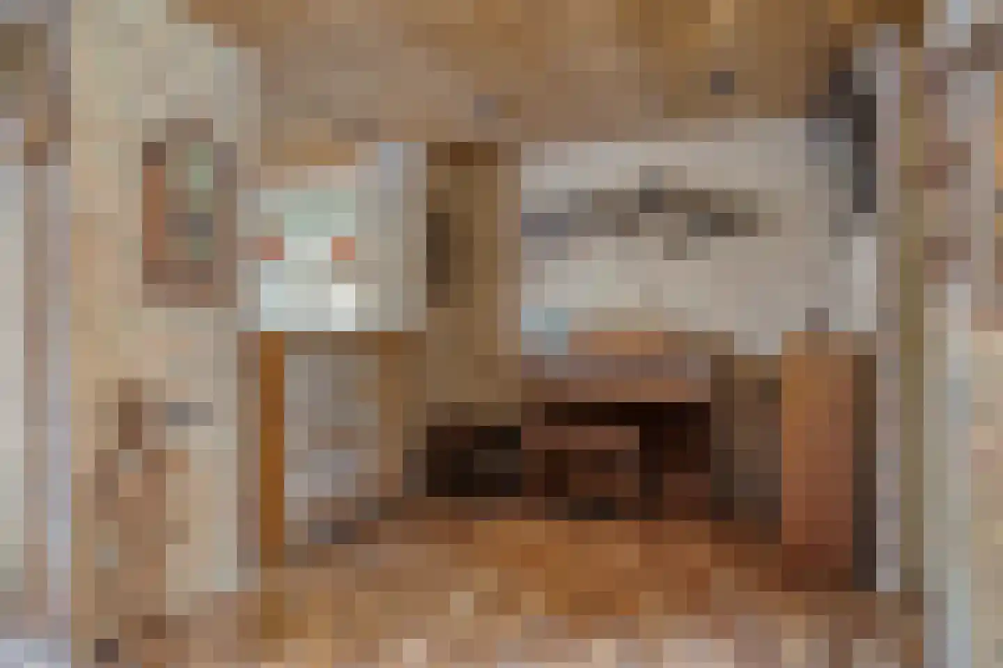 Anton Mauvestraat 14 Helmond thumbnail 19