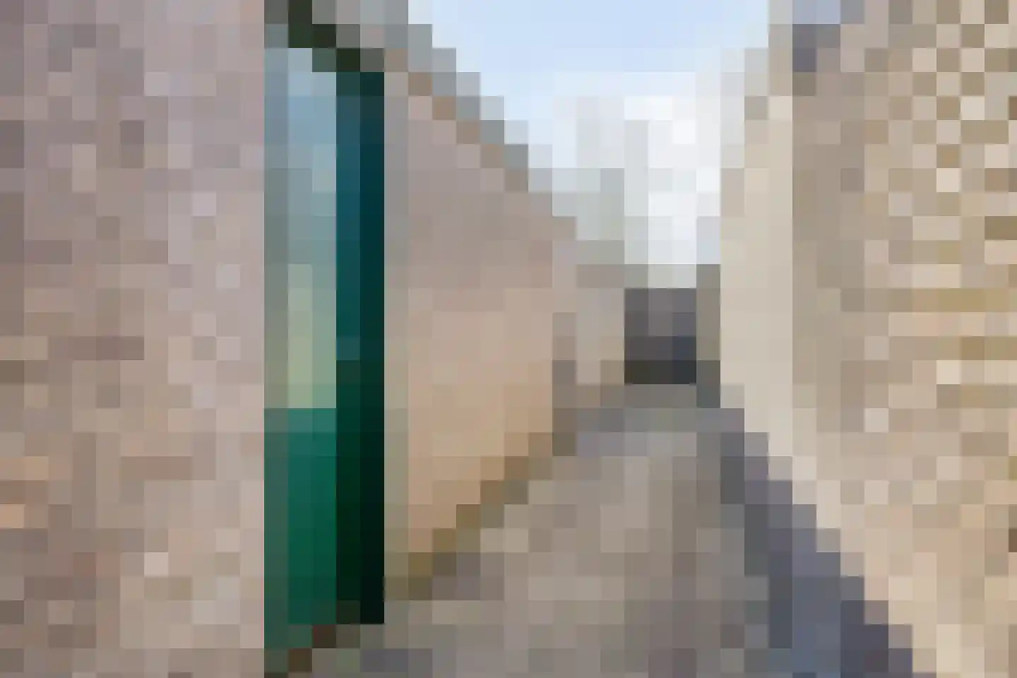 Anton Mauvestraat 14 Helmond thumbnail 35