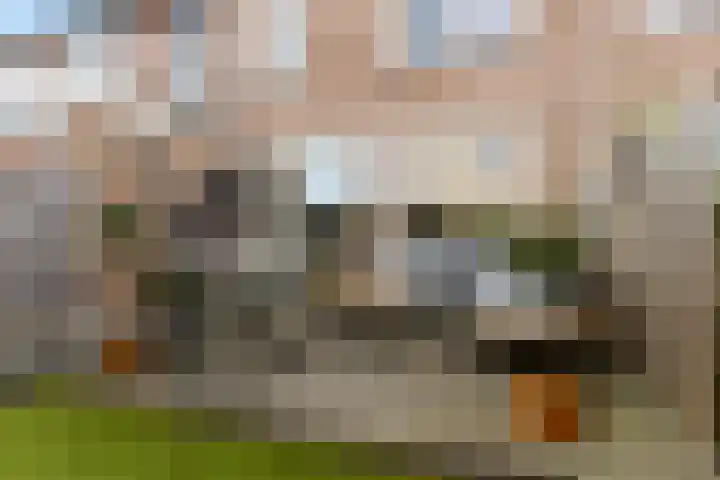 Anton Mauvestraat 44 Woerden thumbnail 16