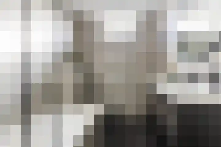 Anton Mauvestraat 44 Woerden thumbnail 27