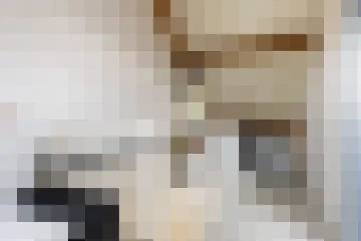 Anton Mauvestraat 44 Woerden thumbnail 32