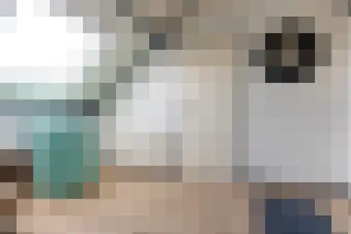 Anton Mauvestraat 44 Woerden thumbnail 33