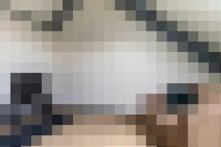 Anton Mauvestraat 44 Woerden thumbnail 35