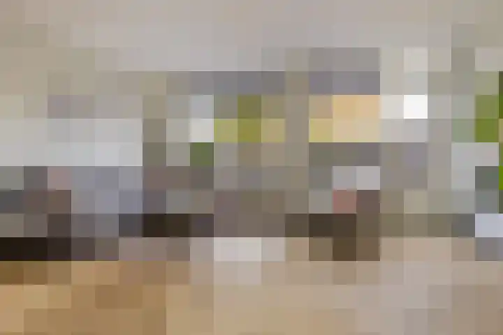 Anton Mauvestraat 44 Woerden thumbnail 6