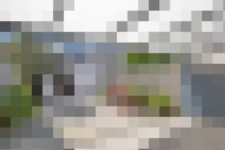 Anton Mauvestraat 6 Helmond thumbnail 27