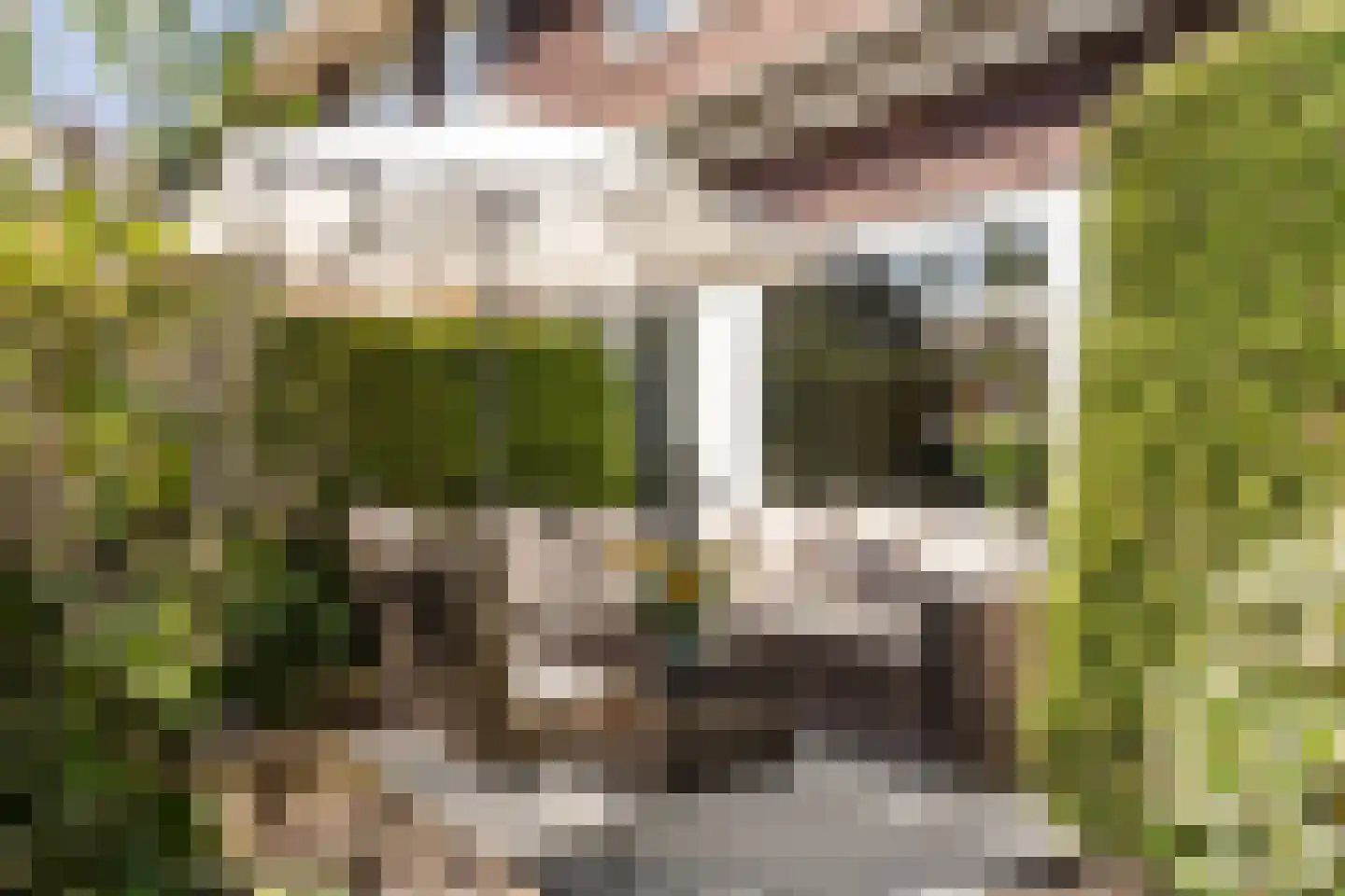 Anton Mauvestraat 9 Heemstede thumbnail 10