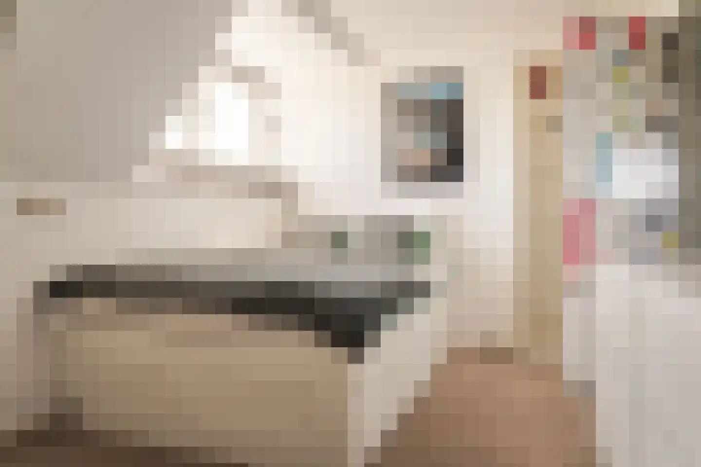 Anton Mauvestraat 9 Heemstede thumbnail 37