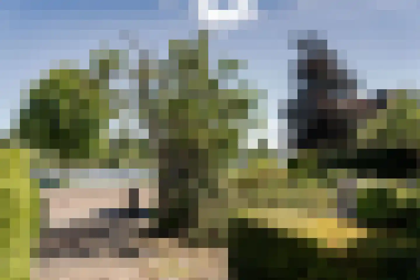 Anton Mauvestraat 9 Heemstede thumbnail 46