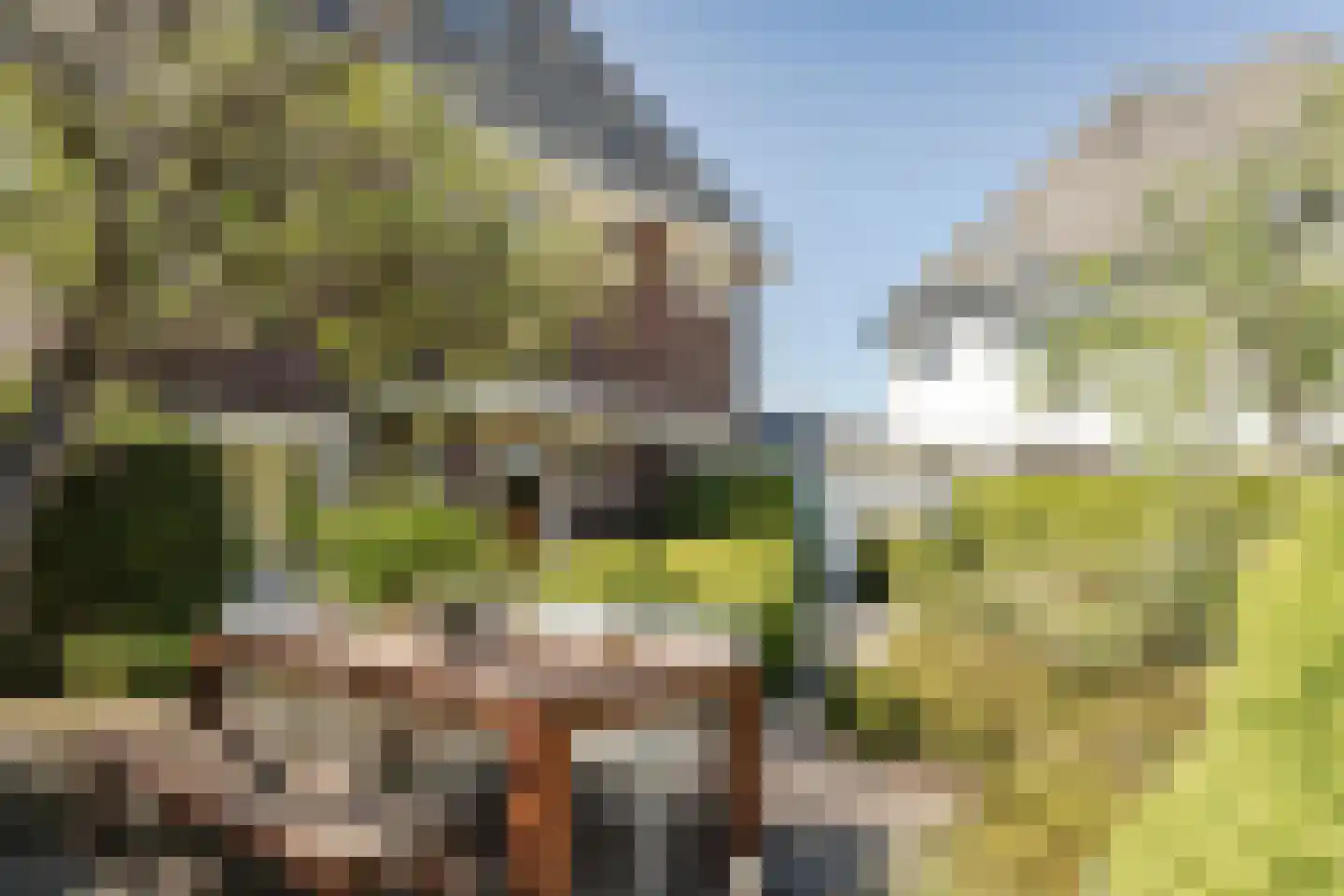 Anton Mauvestraat 9 Heemstede thumbnail 9
