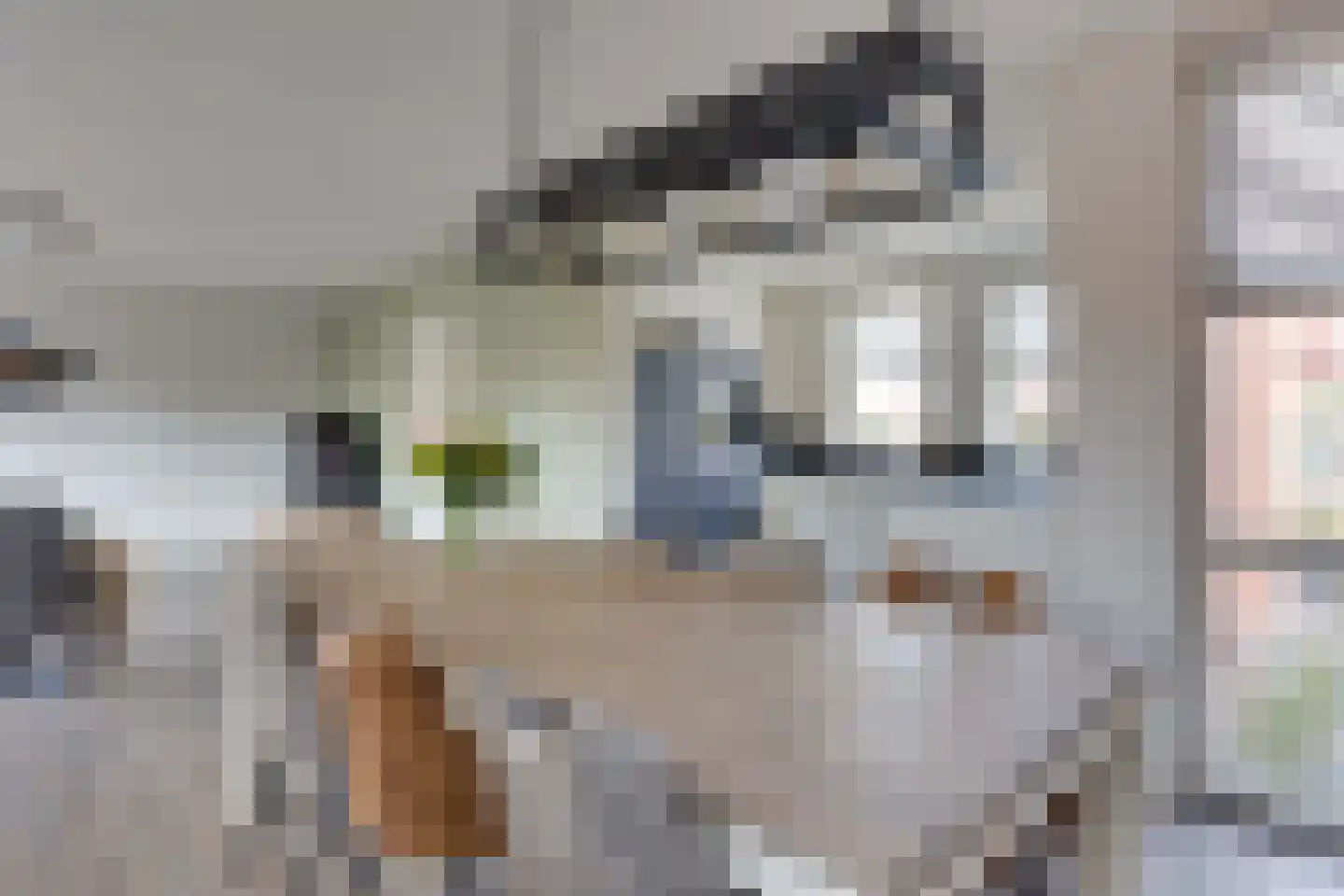 Anton Mollemanhof 10 Zieuwent thumbnail 17
