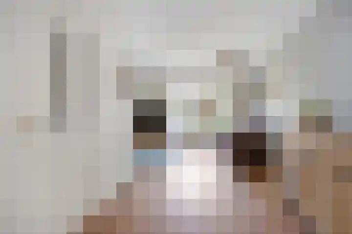 Anton Mollemanhof 17 Zieuwent thumbnail 11
