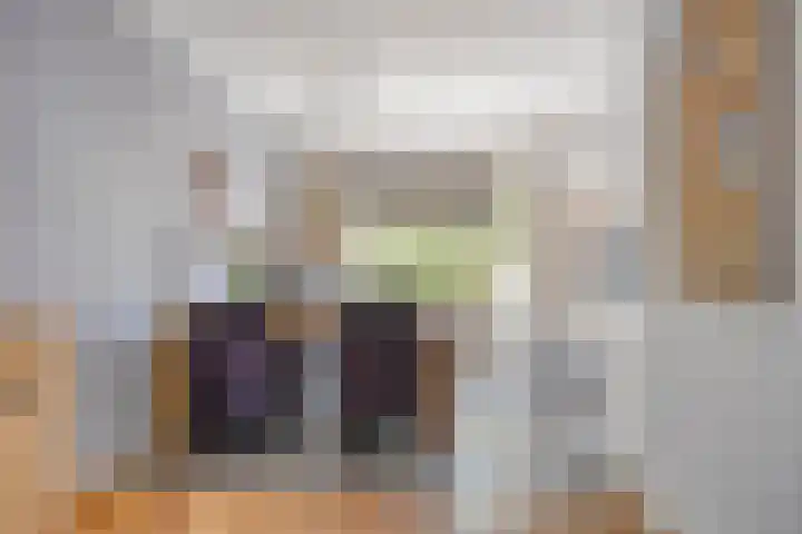 Anton Mollemanhof 17 Zieuwent thumbnail 15