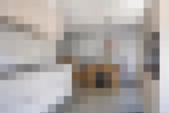 Anton Mollemanhof 17 Zieuwent thumbnail 19