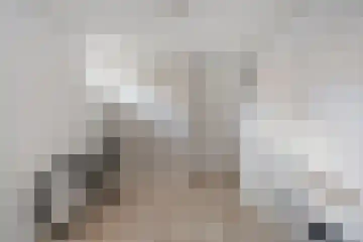 Anton Mollemanhof 17 Zieuwent thumbnail 20