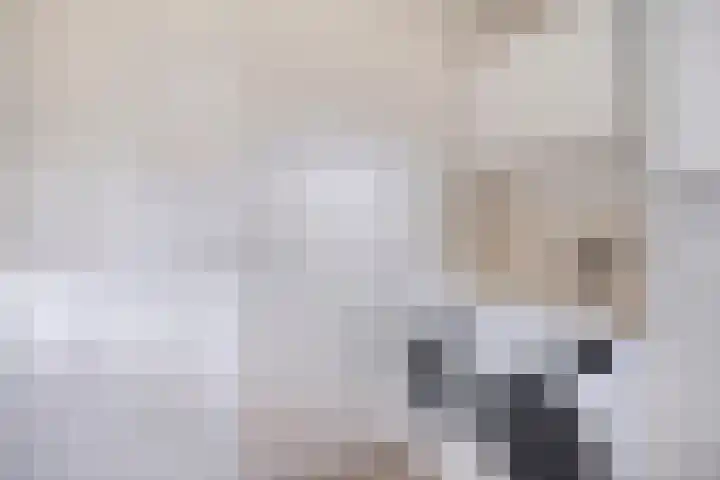 Anton Mollemanhof 17 Zieuwent thumbnail 21
