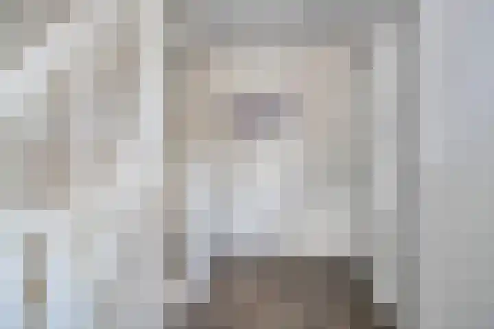 Anton Mollemanhof 17 Zieuwent thumbnail 25