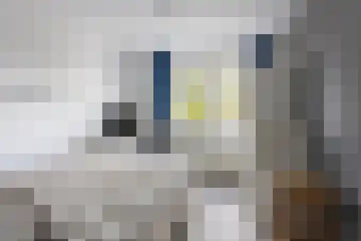 Anton Mollemanhof 17 Zieuwent thumbnail 31