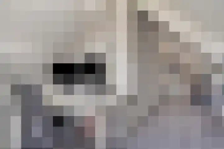 Anton Mollemanhof 17 Zieuwent thumbnail 33