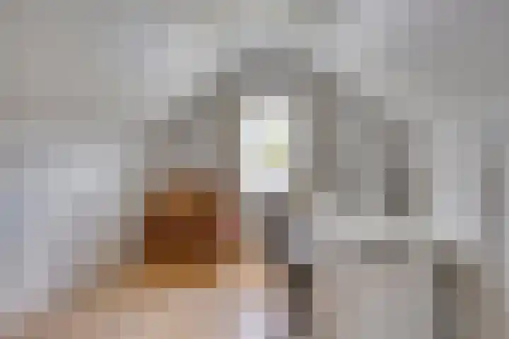Anton Mollemanhof 17 Zieuwent thumbnail 39