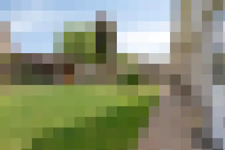 Anton Mollemanhof 17 Zieuwent thumbnail 40