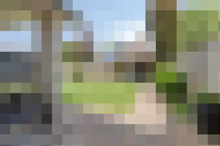 Anton Mollemanhof 17 Zieuwent thumbnail 41