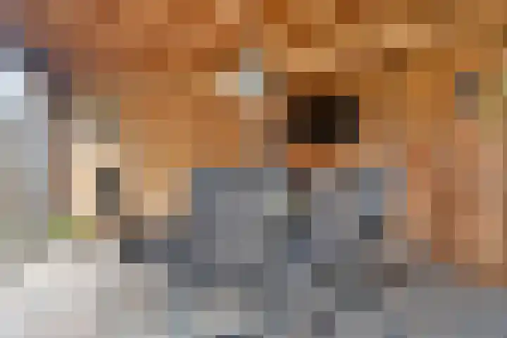 Anton Mollemanhof 17 Zieuwent thumbnail 47