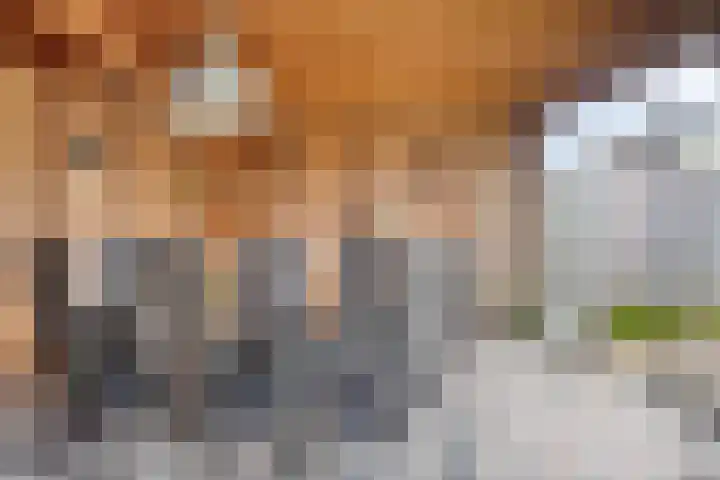 Anton Mollemanhof 17 Zieuwent thumbnail 48