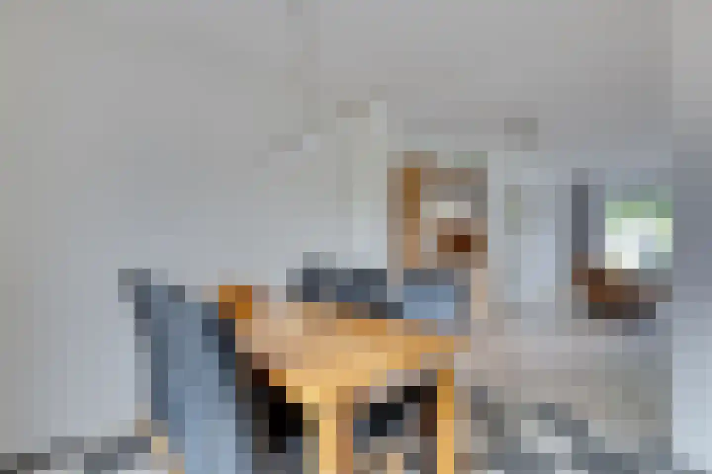 Anton Mollemanhof 21 Zieuwent thumbnail 14