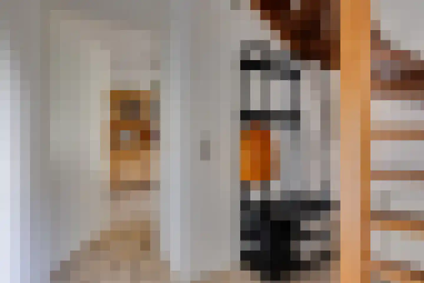 Anton Mollemanhof 21 Zieuwent thumbnail 21