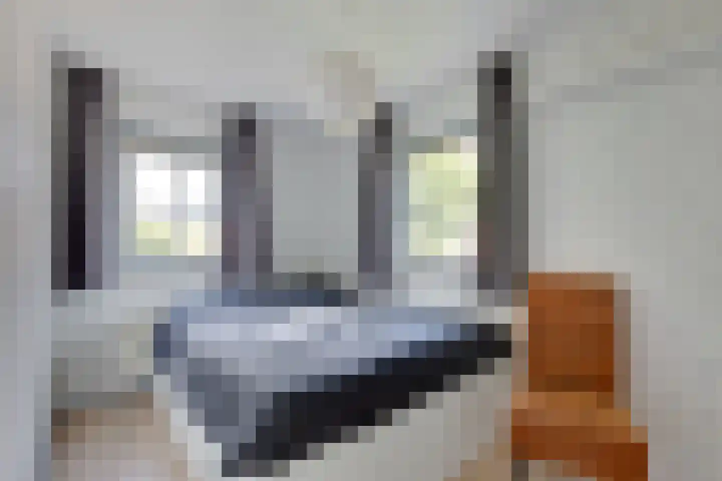 Anton Mollemanhof 21 Zieuwent thumbnail 26