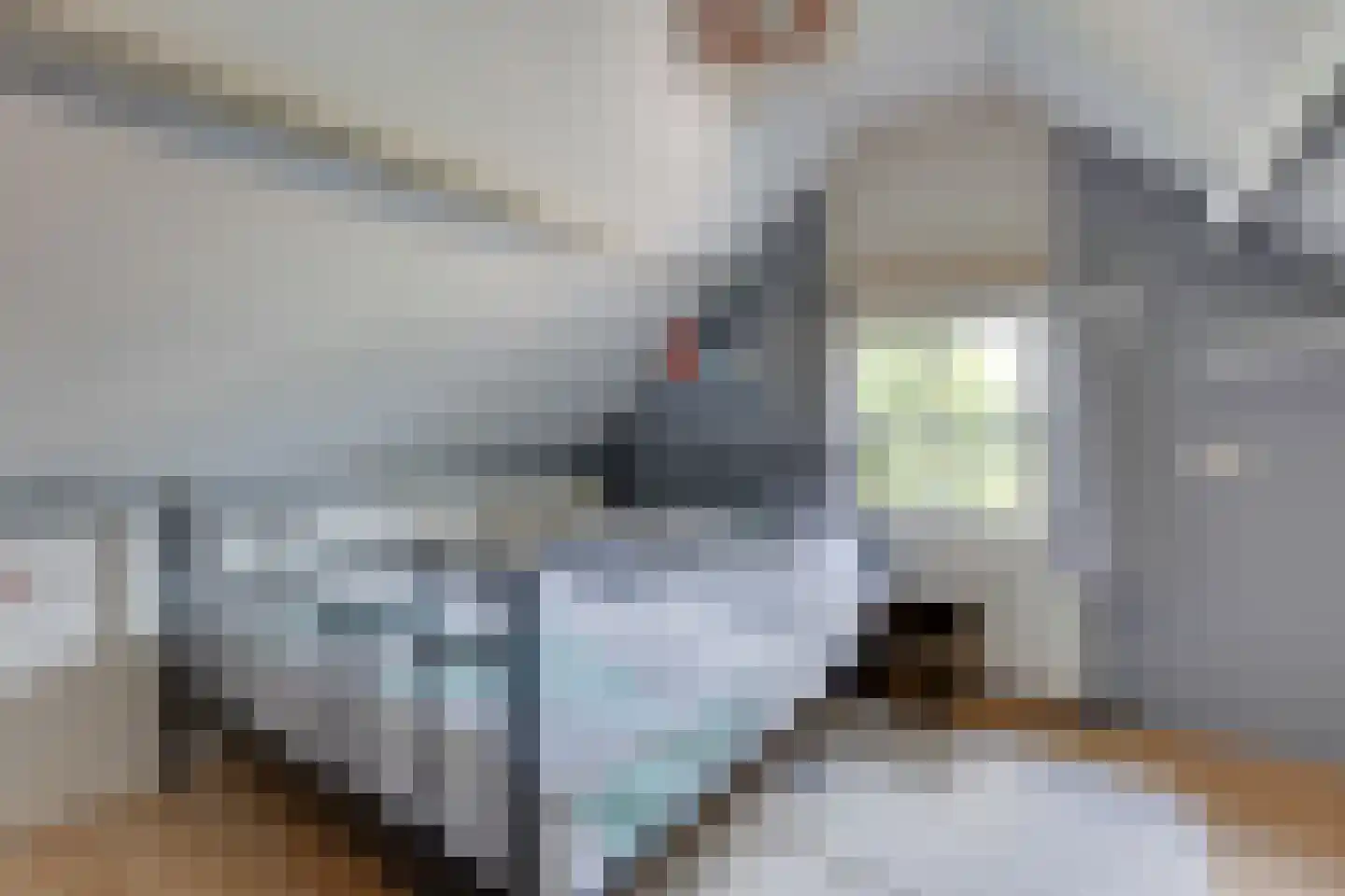 Anton Mollemanhof 21 Zieuwent thumbnail 33