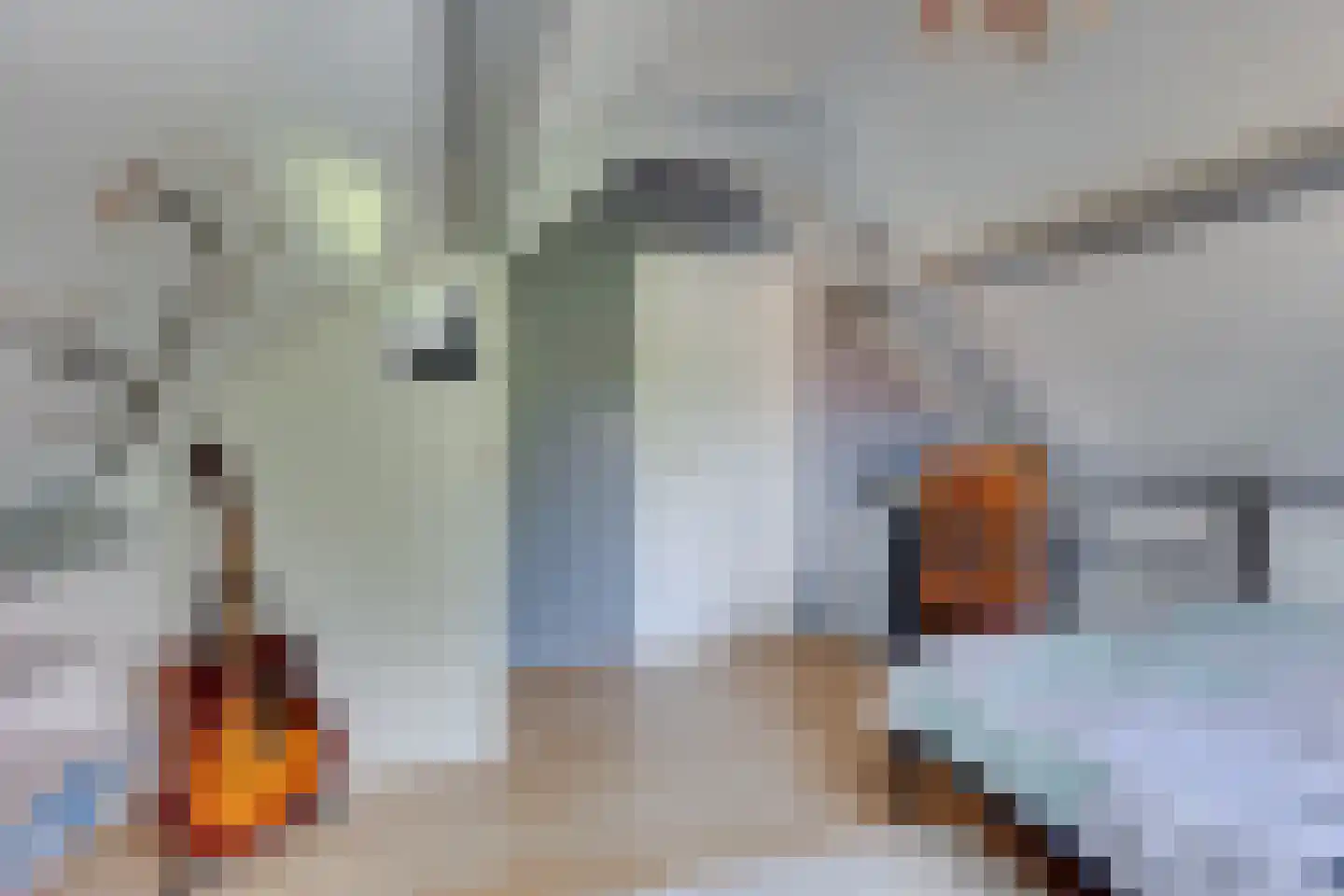Anton Mollemanhof 21 Zieuwent thumbnail 34