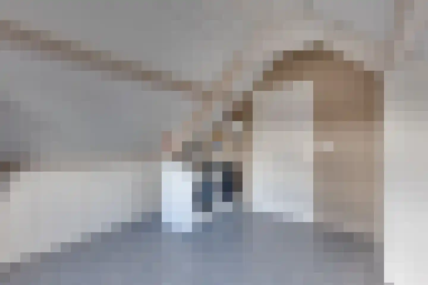Anton Mollemanhof 21 Zieuwent thumbnail 36