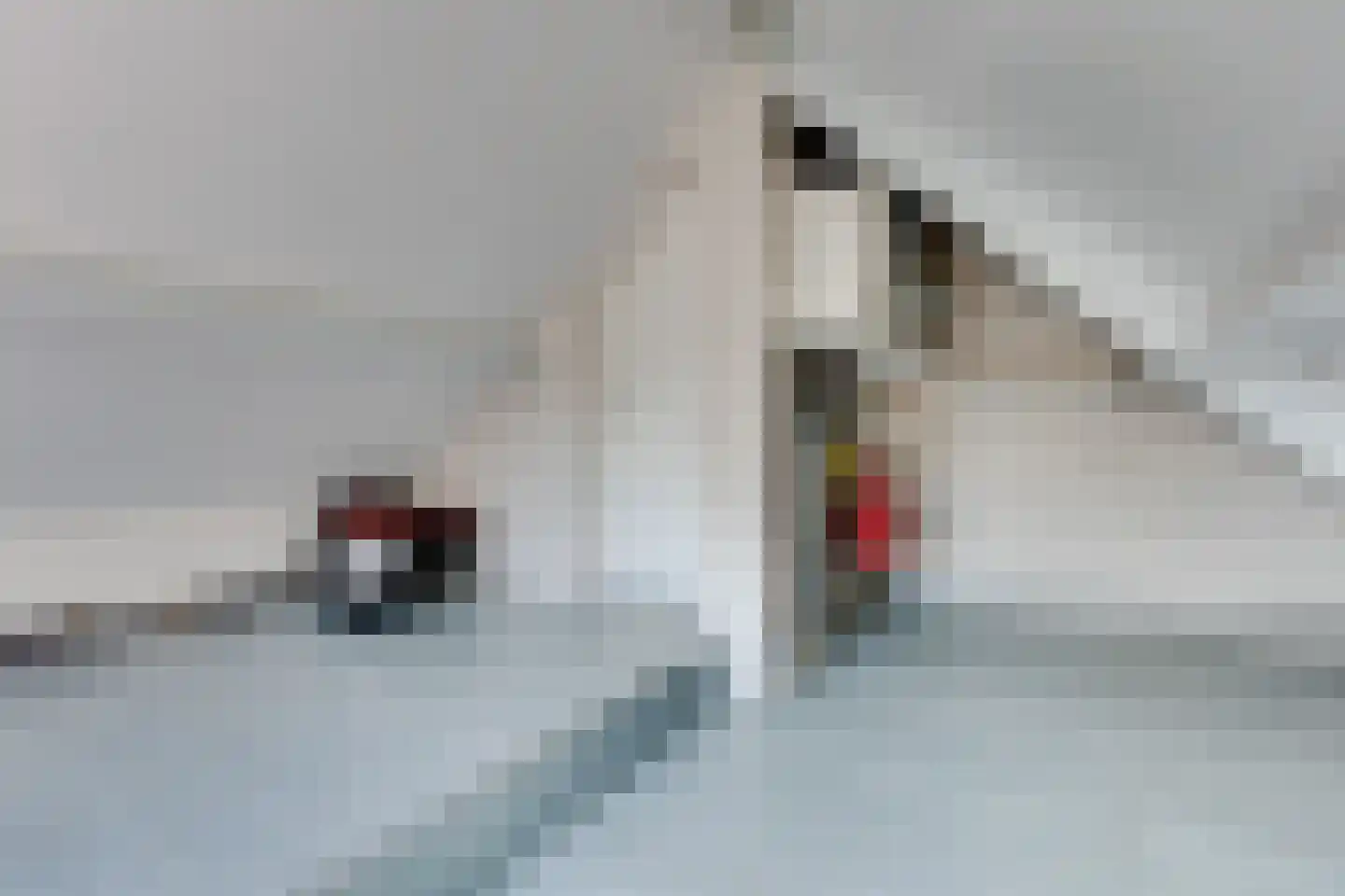 Anton Mollemanhof 21 Zieuwent thumbnail 38