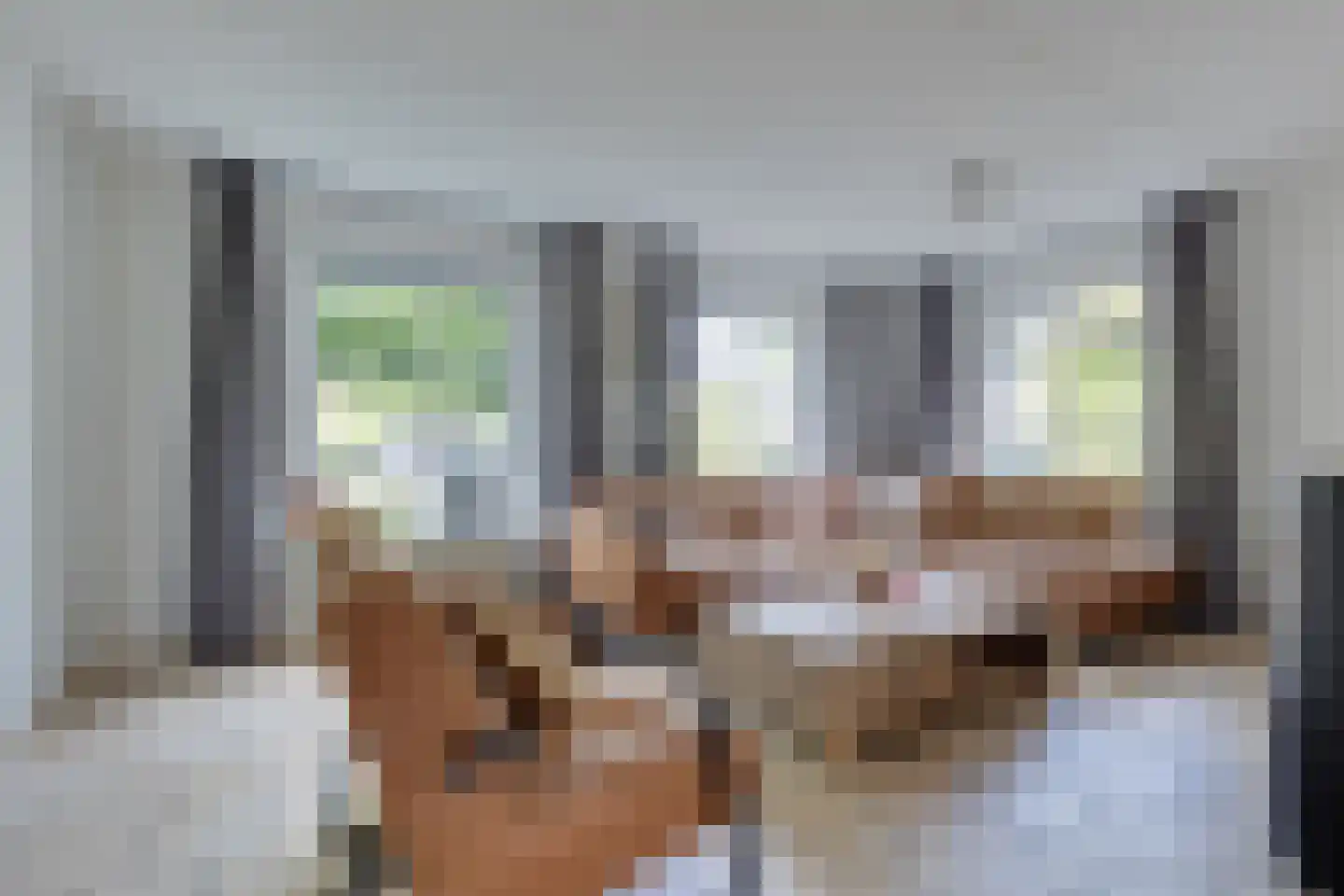 Anton Mollemanhof 21 Zieuwent thumbnail 7