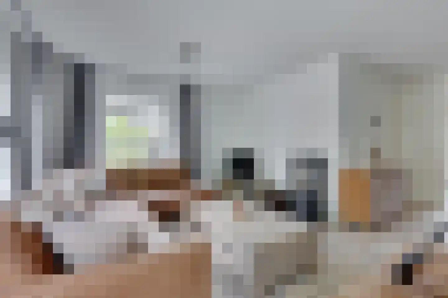Anton Mollemanhof 21 Zieuwent thumbnail 9