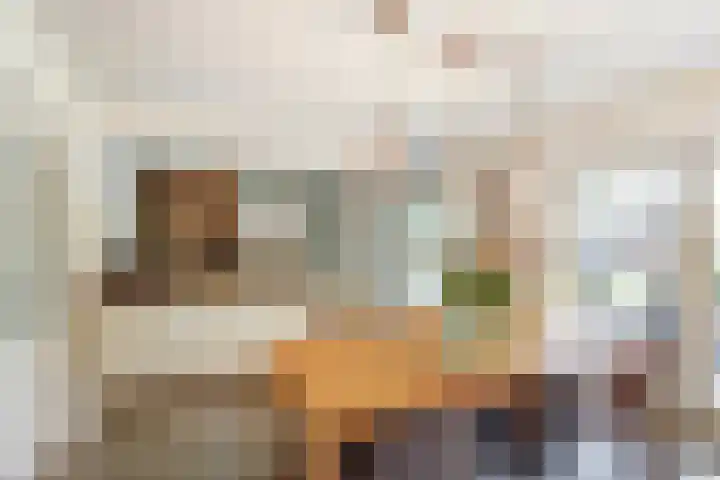 Anton Mollemanhof 29 Zieuwent thumbnail 12